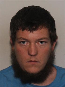 Primary photo of BRIAN LOUIS BREESE - Please refer to the physical description