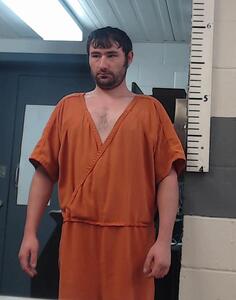Mugshot of HUDSON, LOGAN