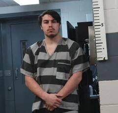 Mugshot of NETTLETON, MICHAEL