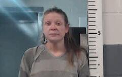 Mugshot of DOTSON, TONYA