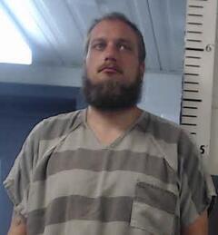Mugshot of BREESE, PAUL